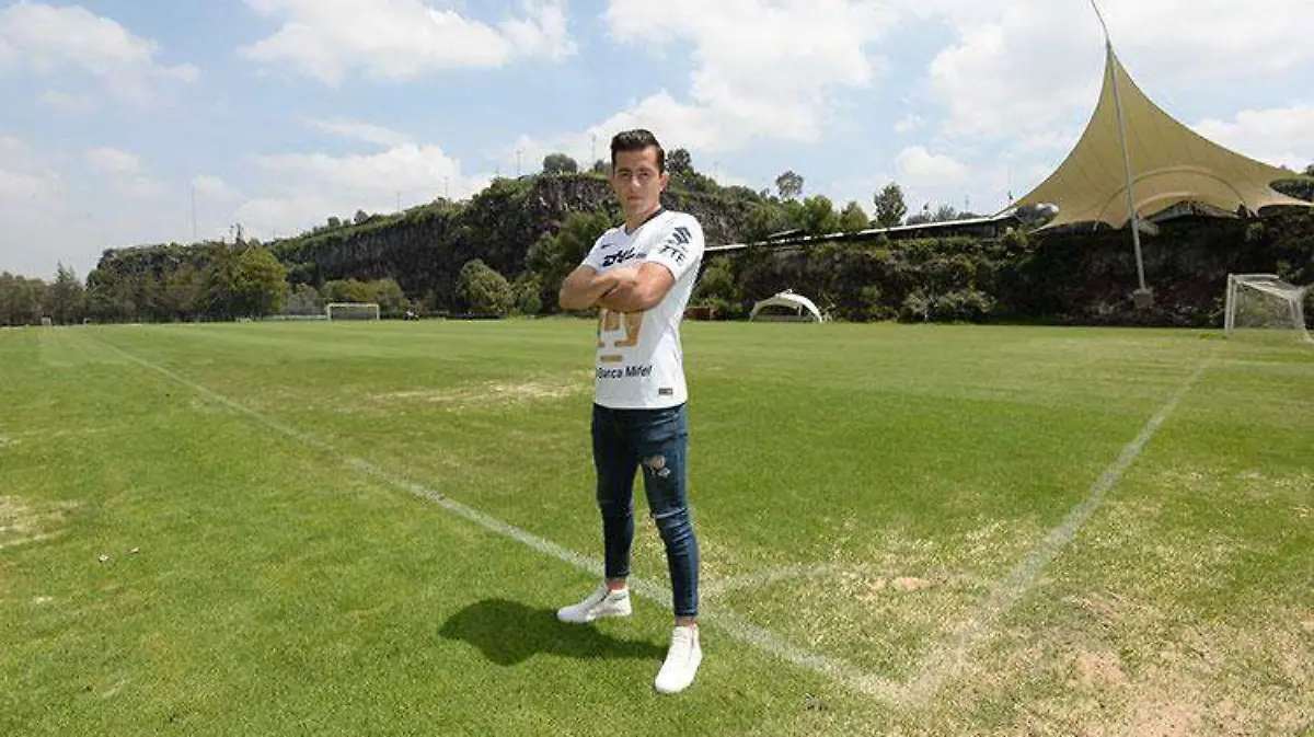 pumas