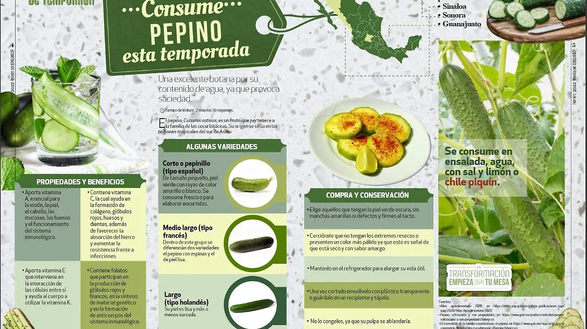 PEPINO PROFECO