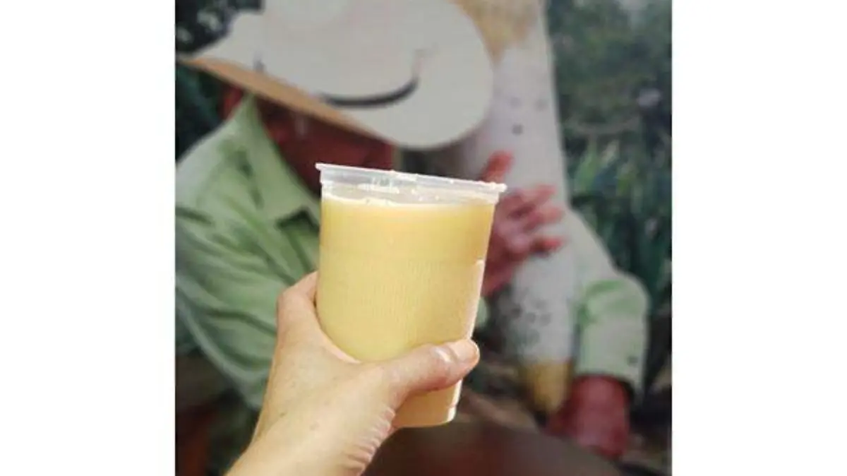 Pulque