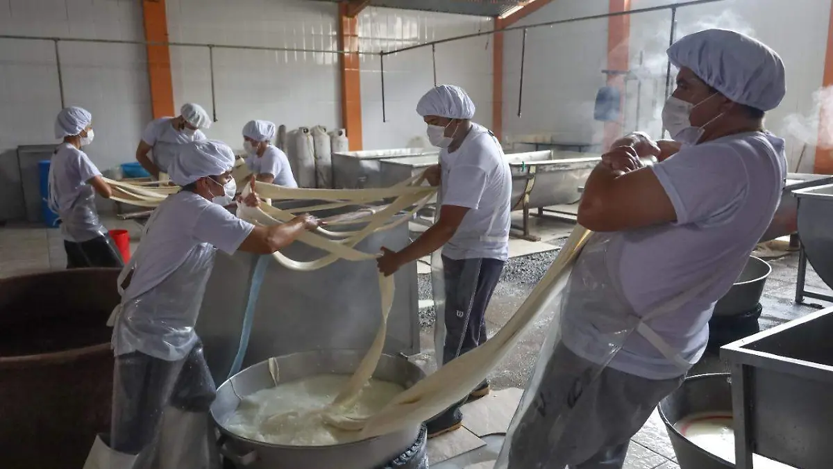 Del rancho a la quesadilla, así se elabora el queso de hebra en Tlaxco 3