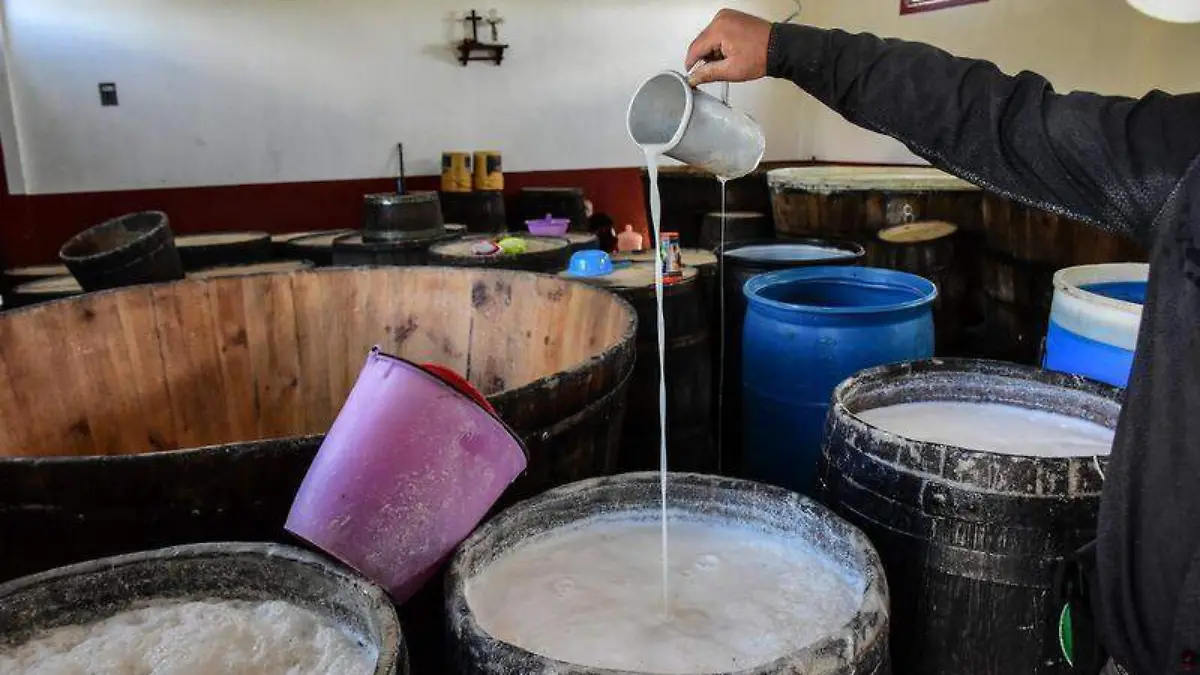 Pulque (2)
