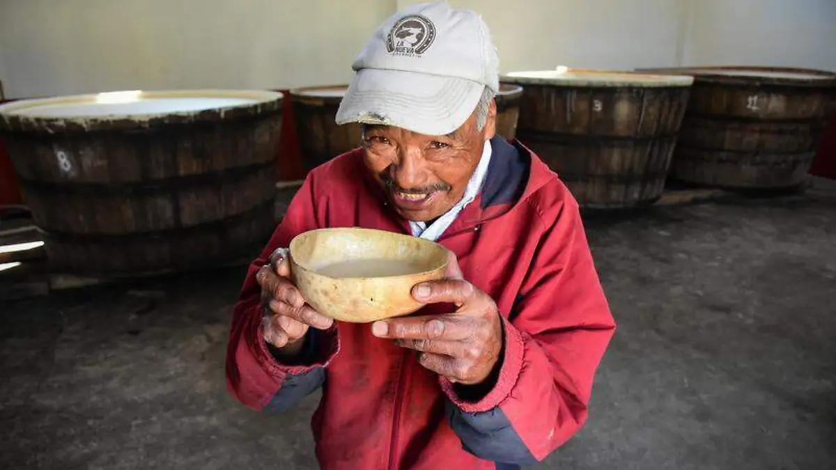 Pulque