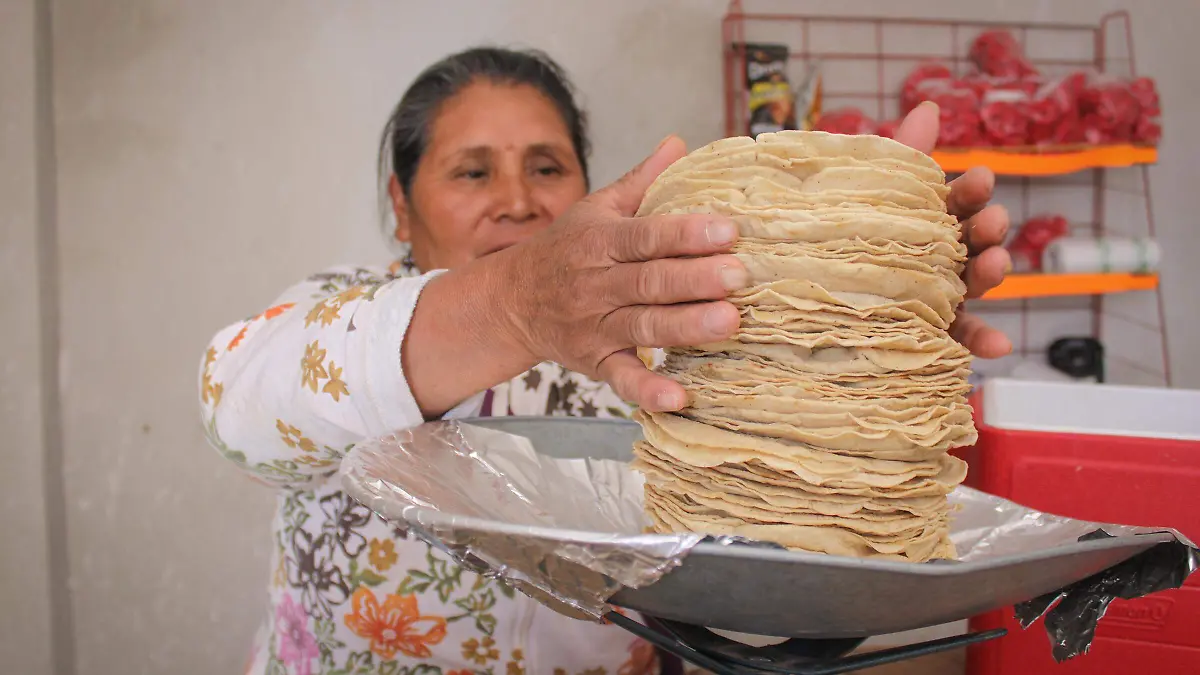 Tortilla