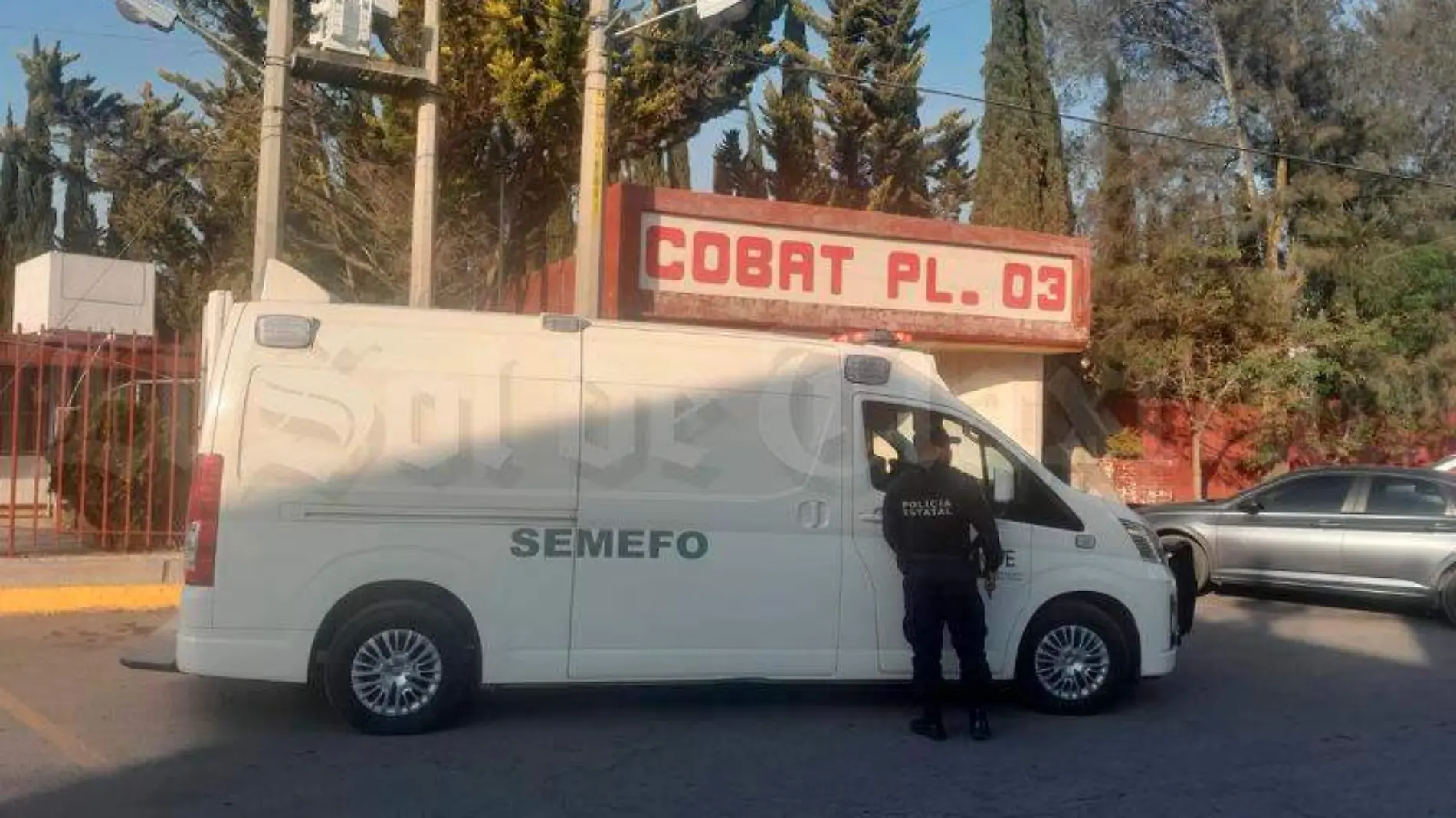 Semefo-cobat,-feto