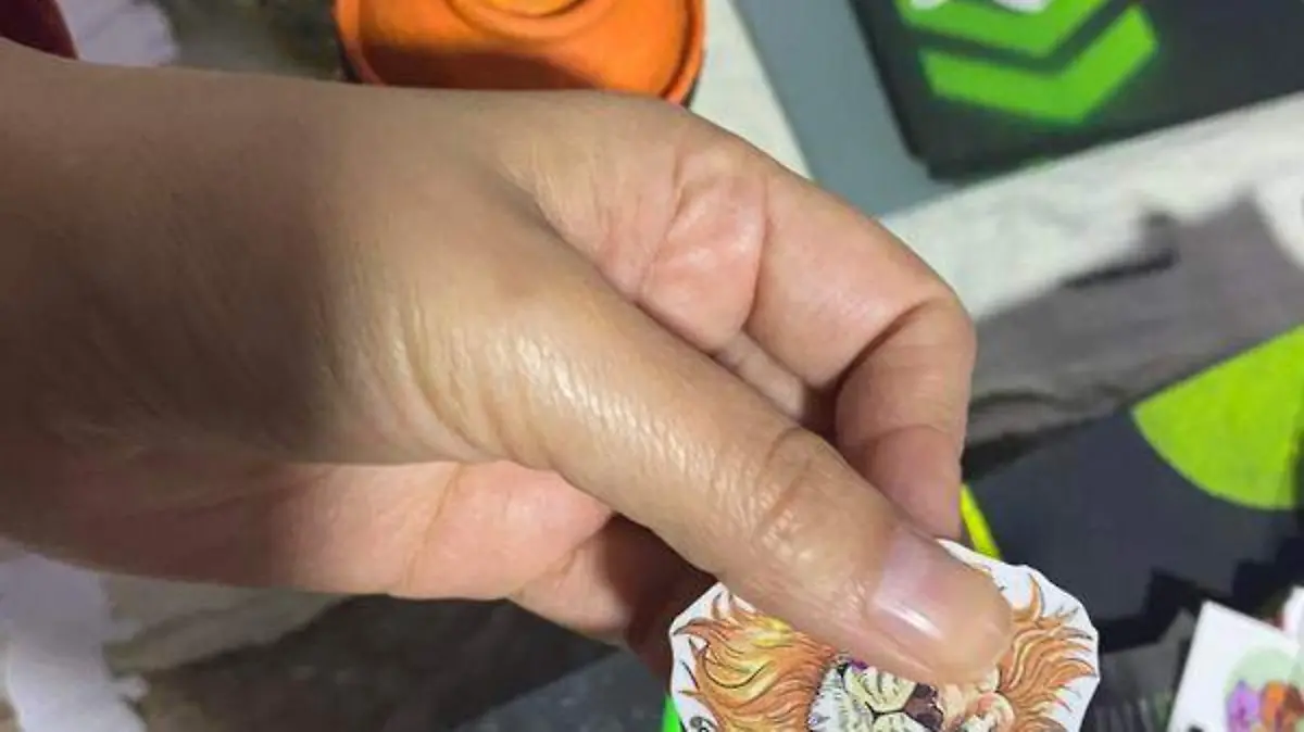 NOPTACULTURA 3