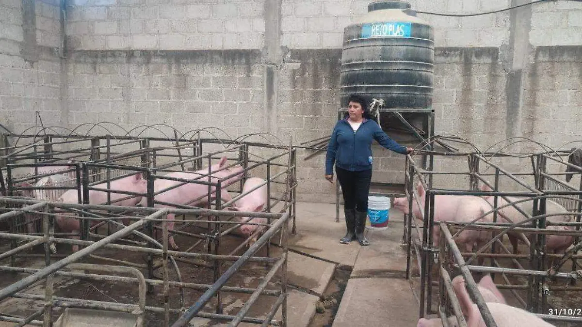 productores 3