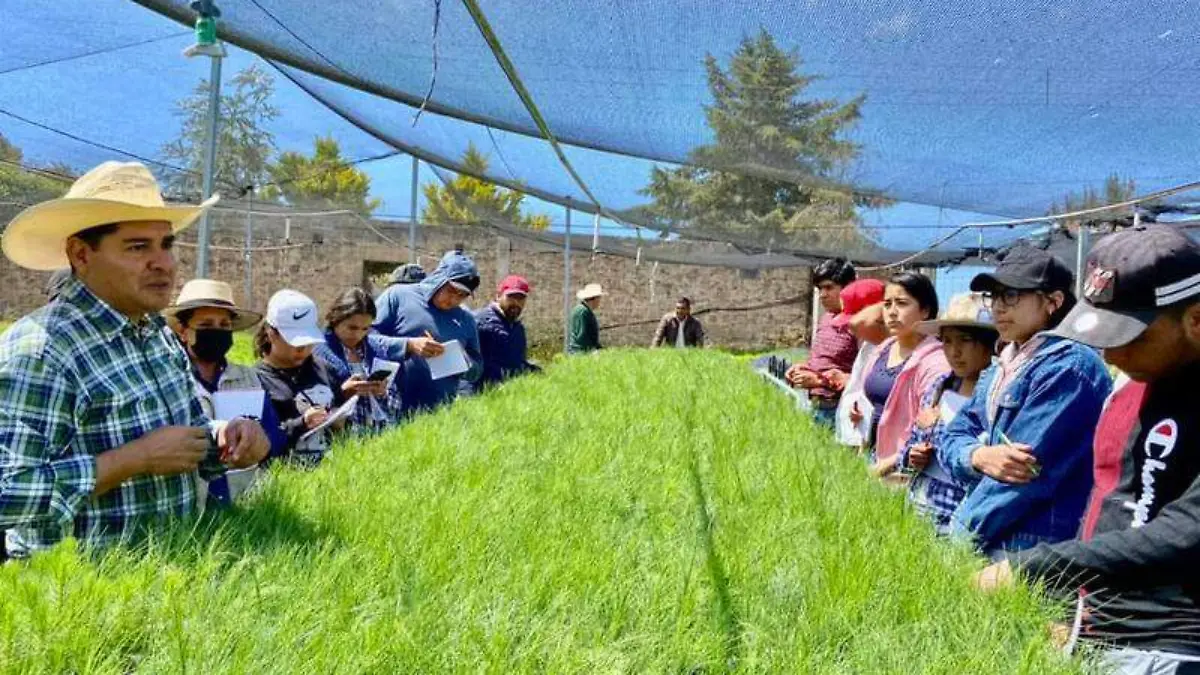 Misiones culturales (9)