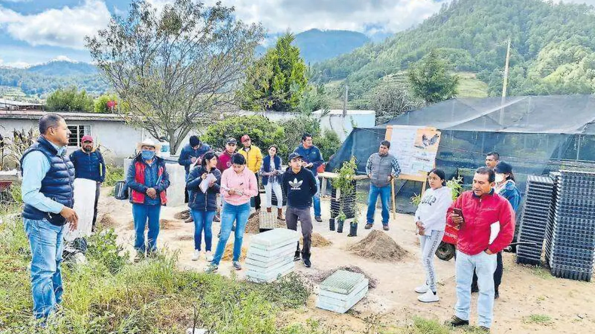 Misiones culturales (7)