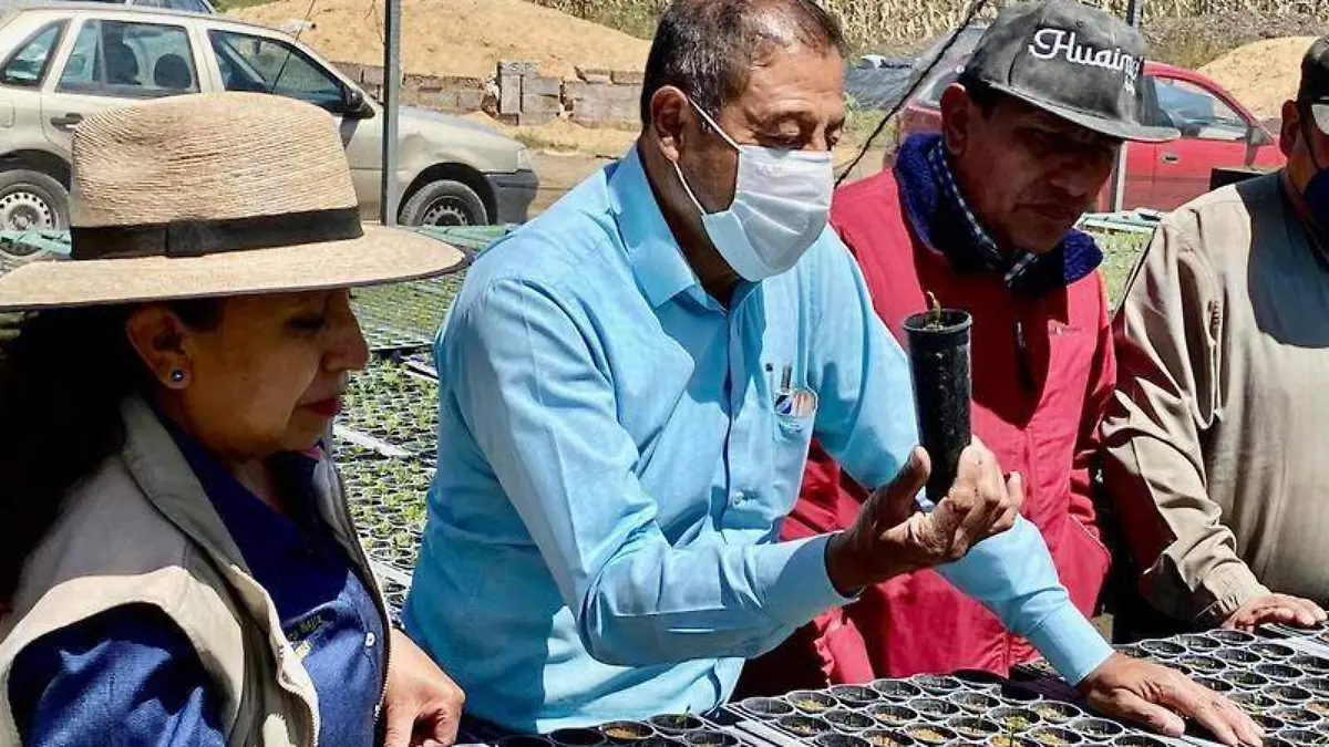 Misiones culturales (6)