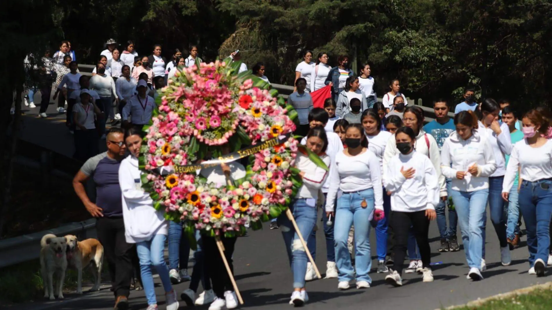 ofrenda normalistas