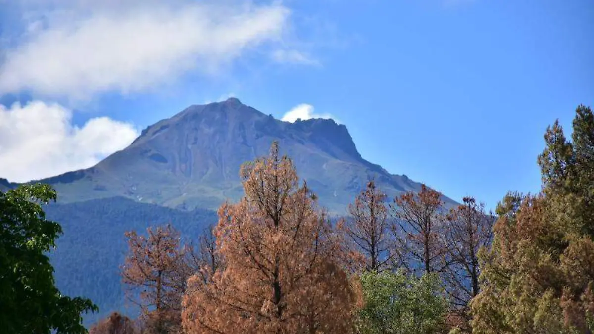 MALINCHE