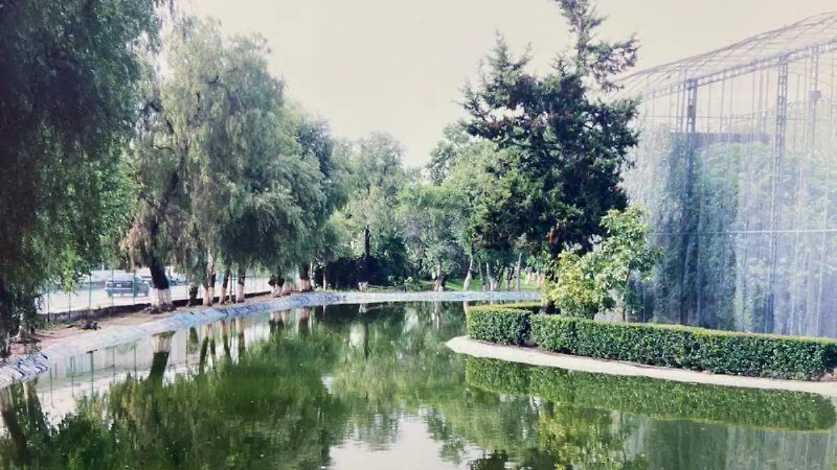 Zoológico, lago del niño (8)