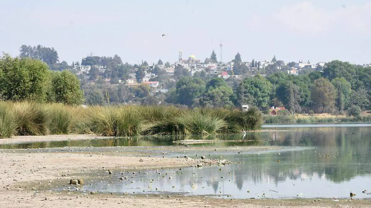 Laguna Acuitlapilco (5)