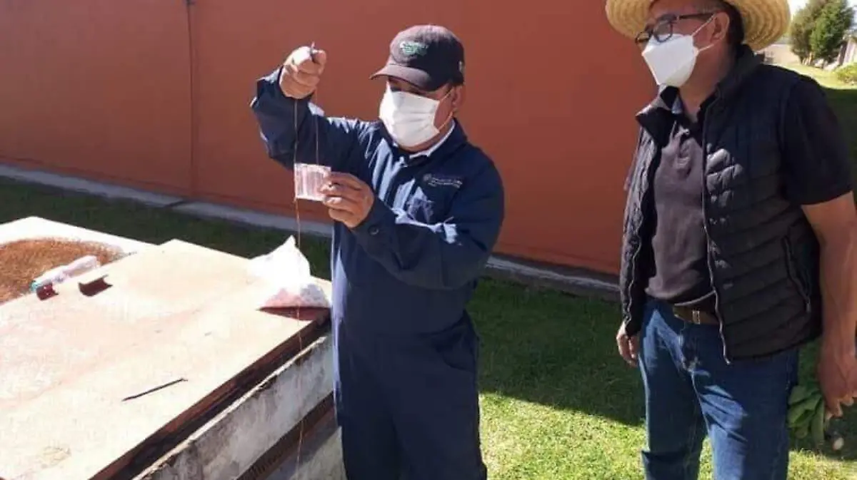 Contaminación