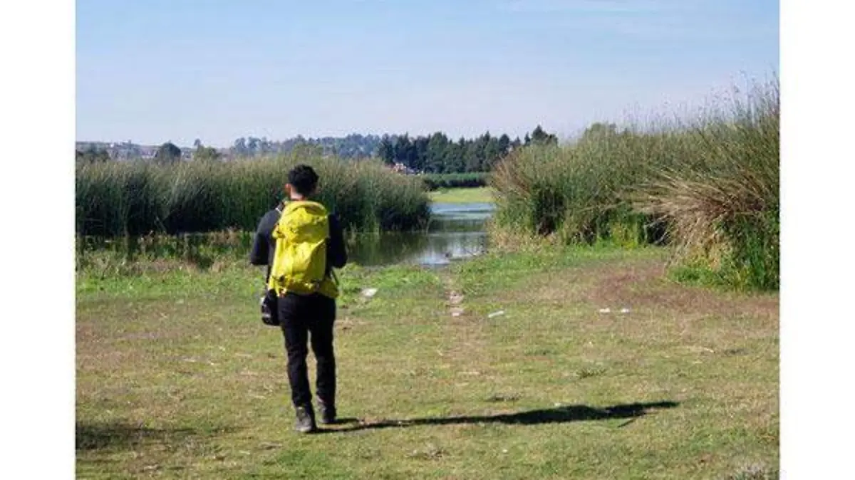 Observador-de-aves-2