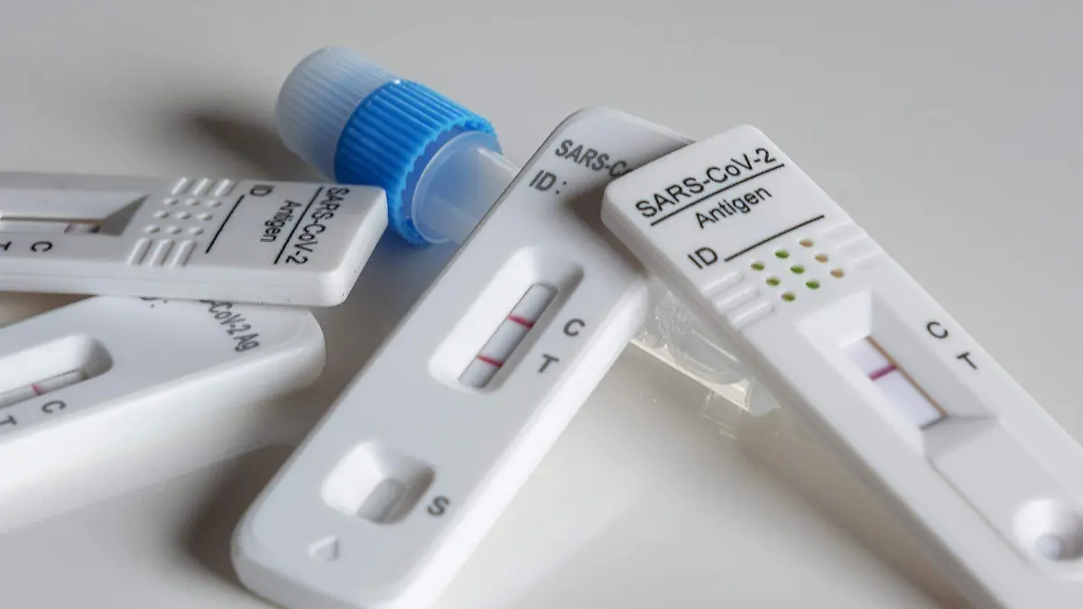antigen-g98f8dadb7_1920