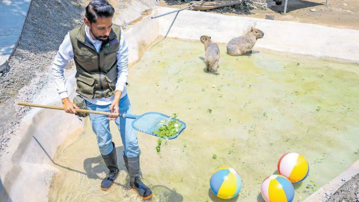 Zoológico