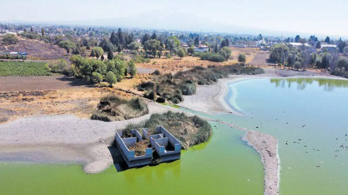 Laguna Acuitlapilco (19)