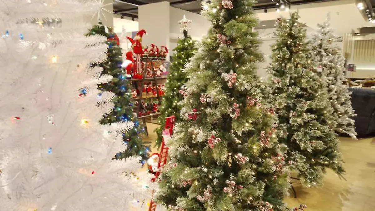 Navidad (2)
