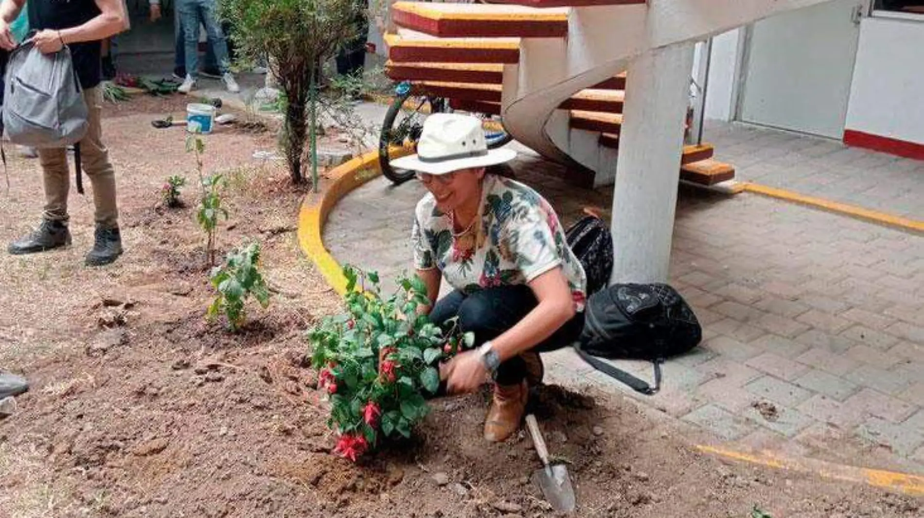 Jardines-polinizadores