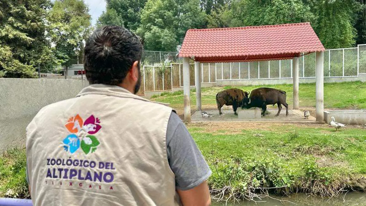 Zoológico (5)