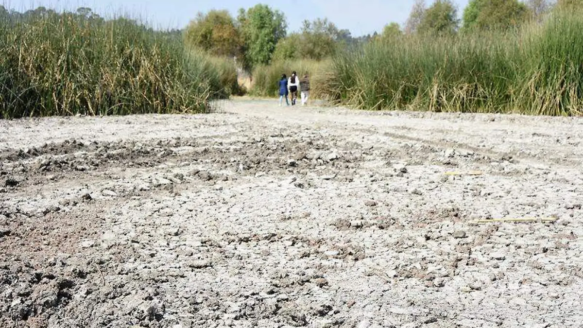 Laguna Acuitlapilco (8)