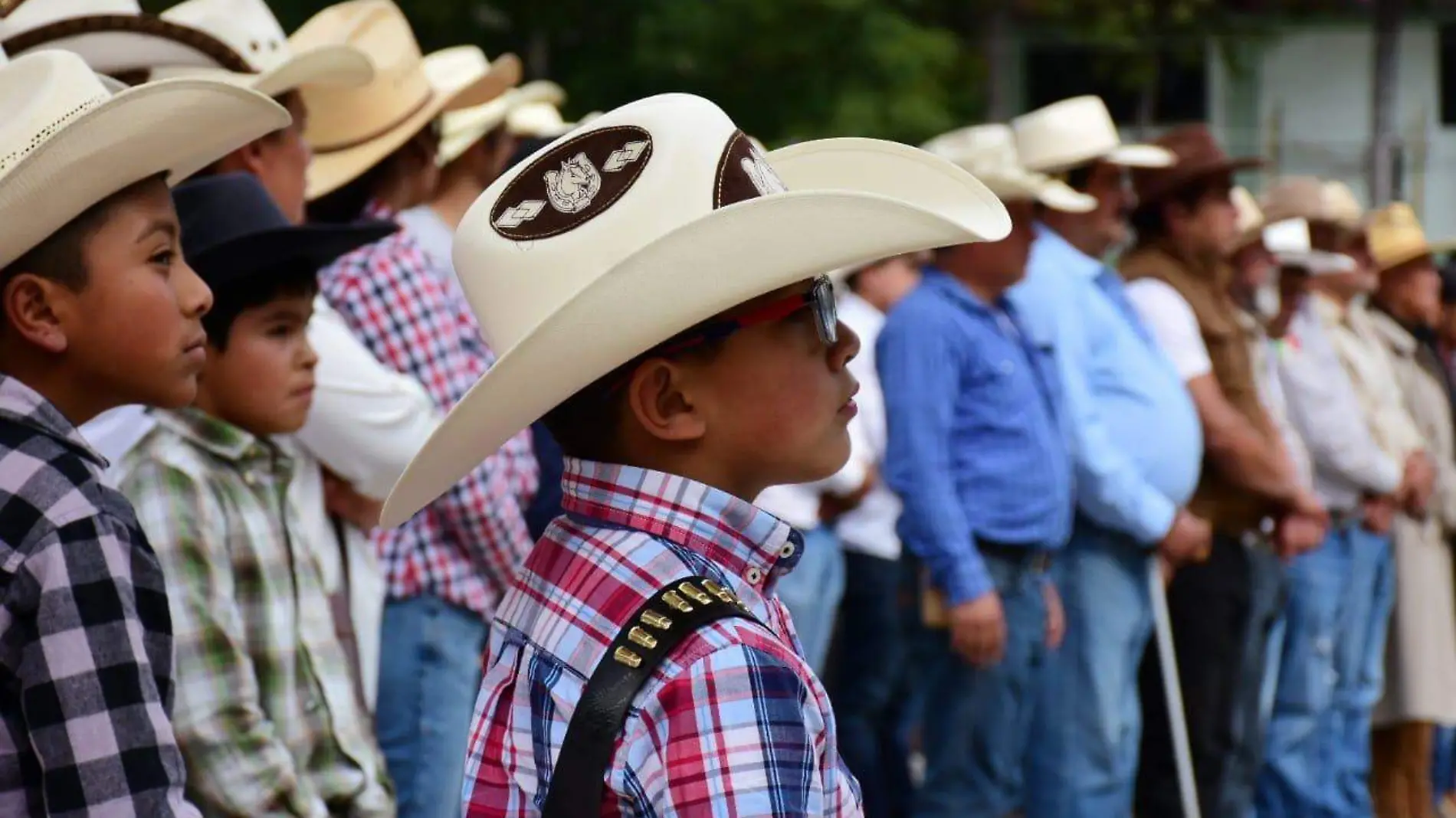 Caballos desfile