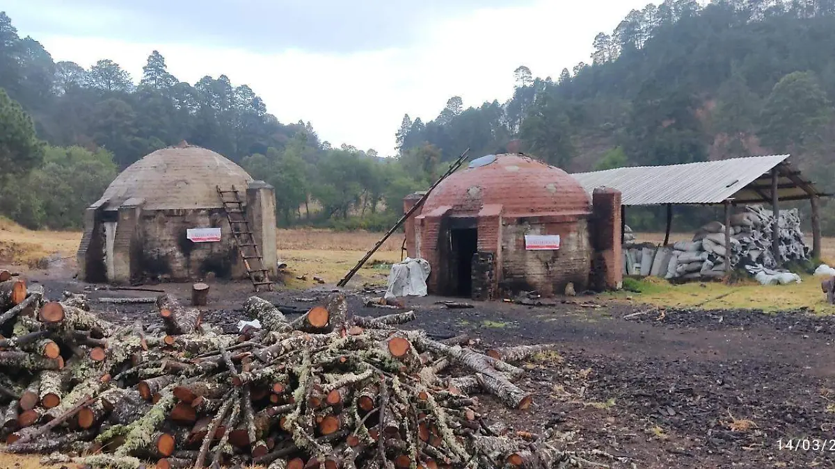 clausuran fabrica de carbón 
