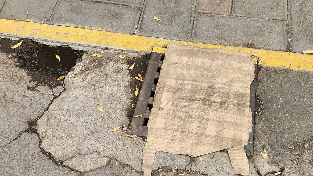 WhatsApp Image 2023-05-18 at 3.30.30 PM