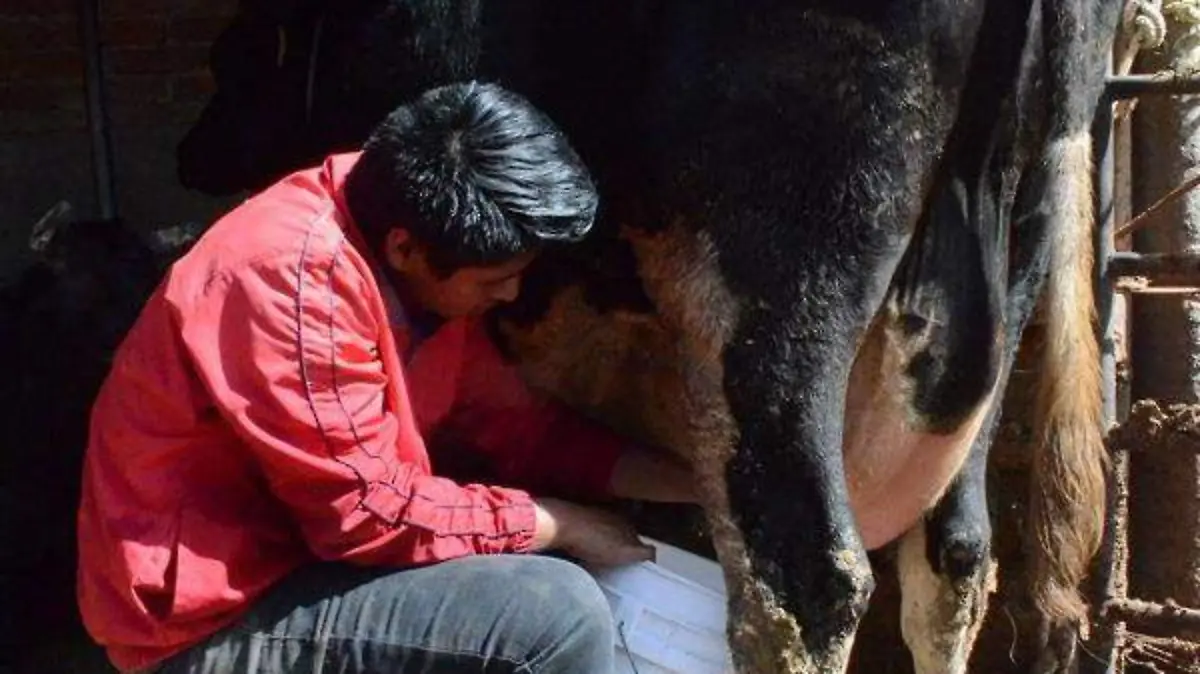 leche