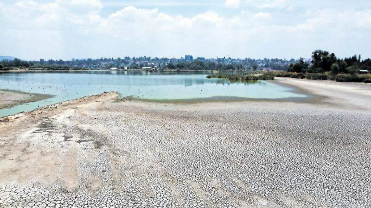 laguna 4
