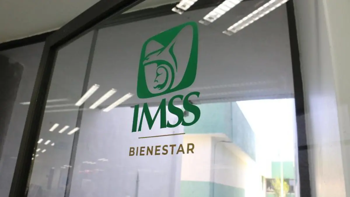 Imss bienestar (4)