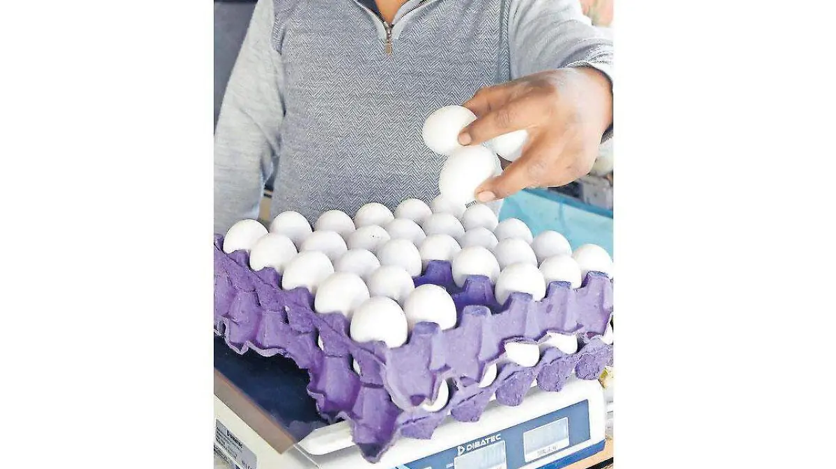 Huevo,-canasta-básica-(2)