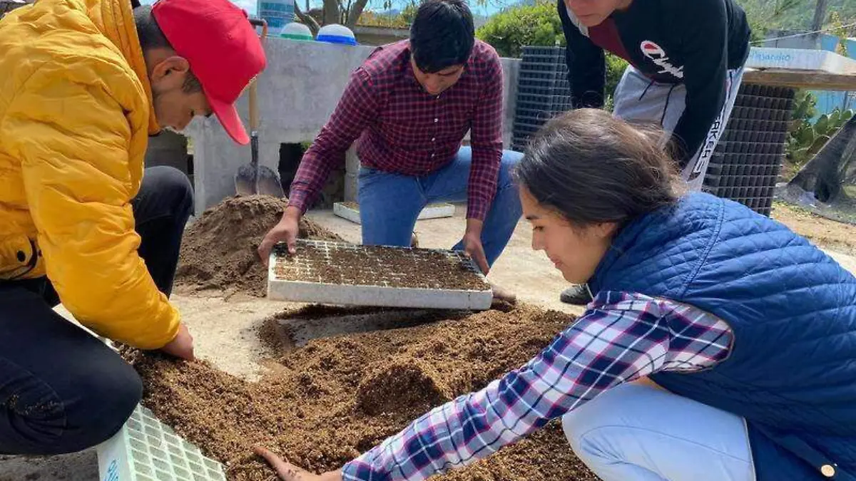 Misiones culturales (4)