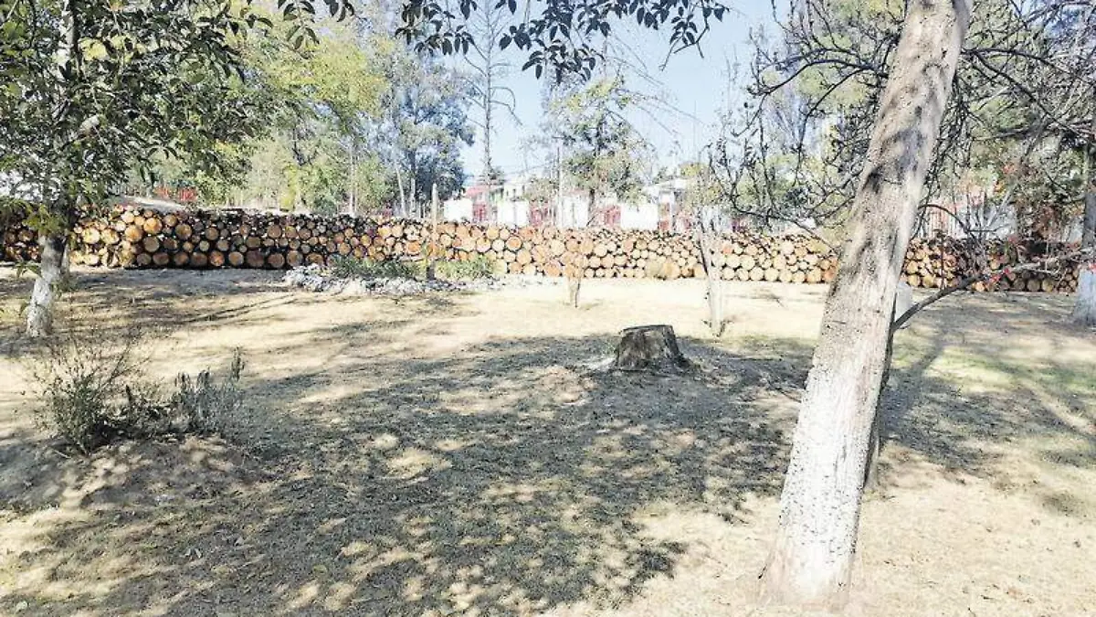 Árboles uatx