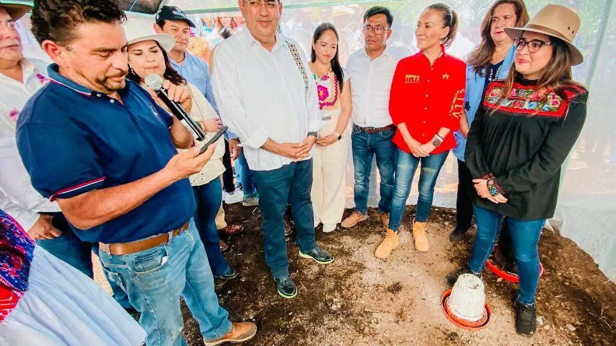 módulos 3