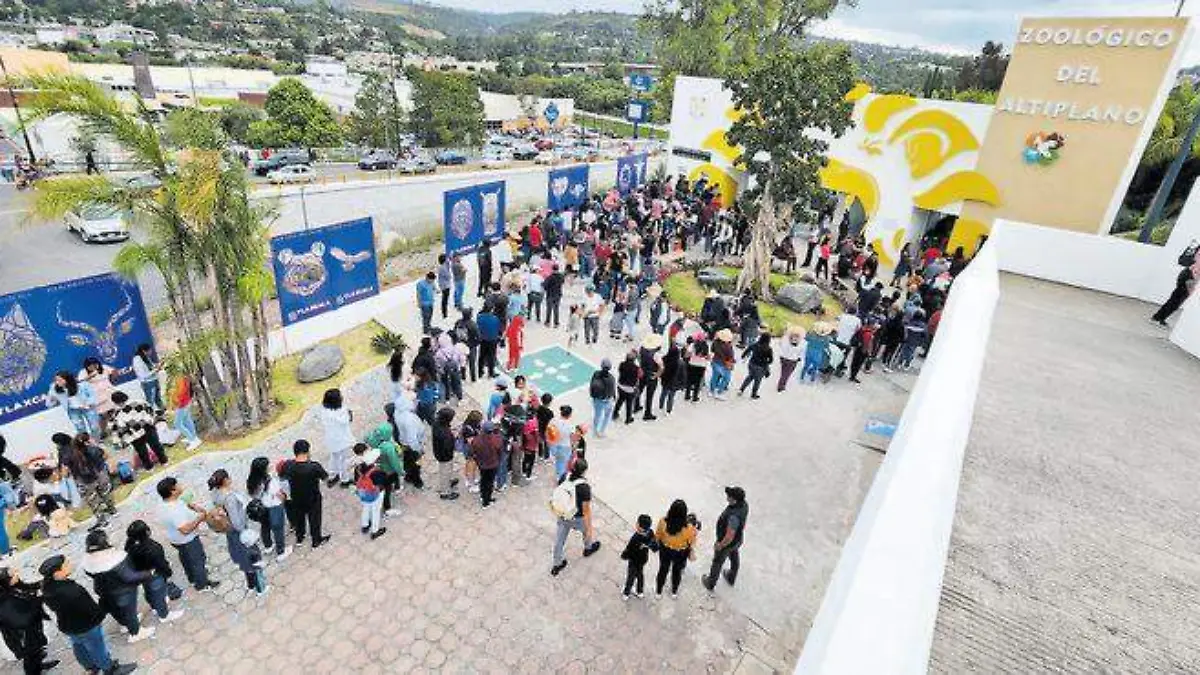 Fila Zoológico (2)
