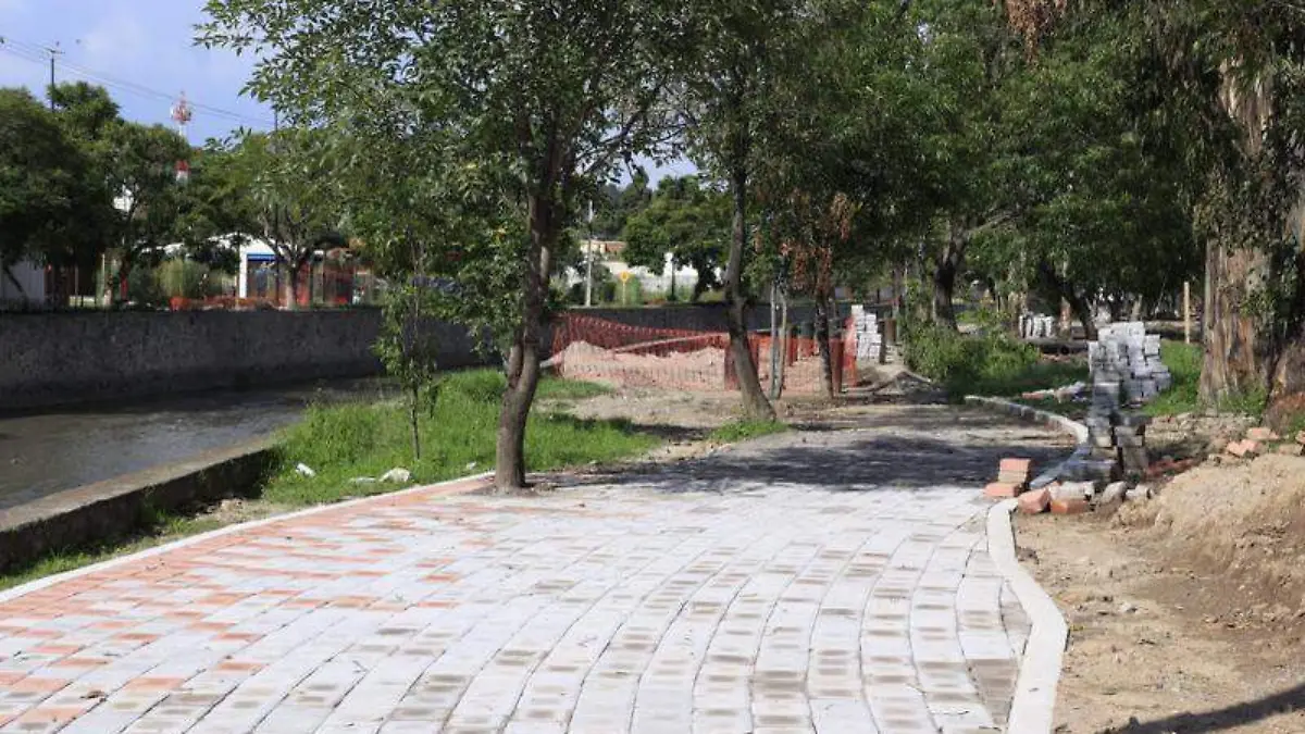 Dos años gobernadora (4)