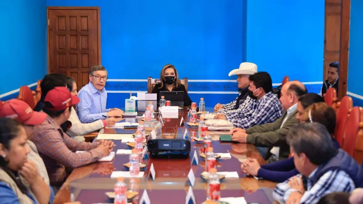 reunión 6