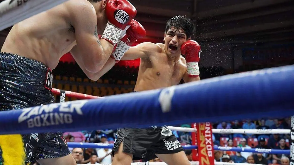 David Moreno Potrero boxeador