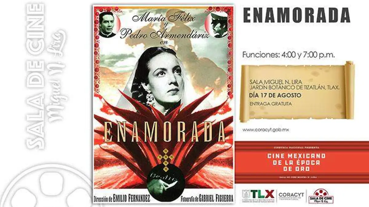 cartel-ENAMORADA