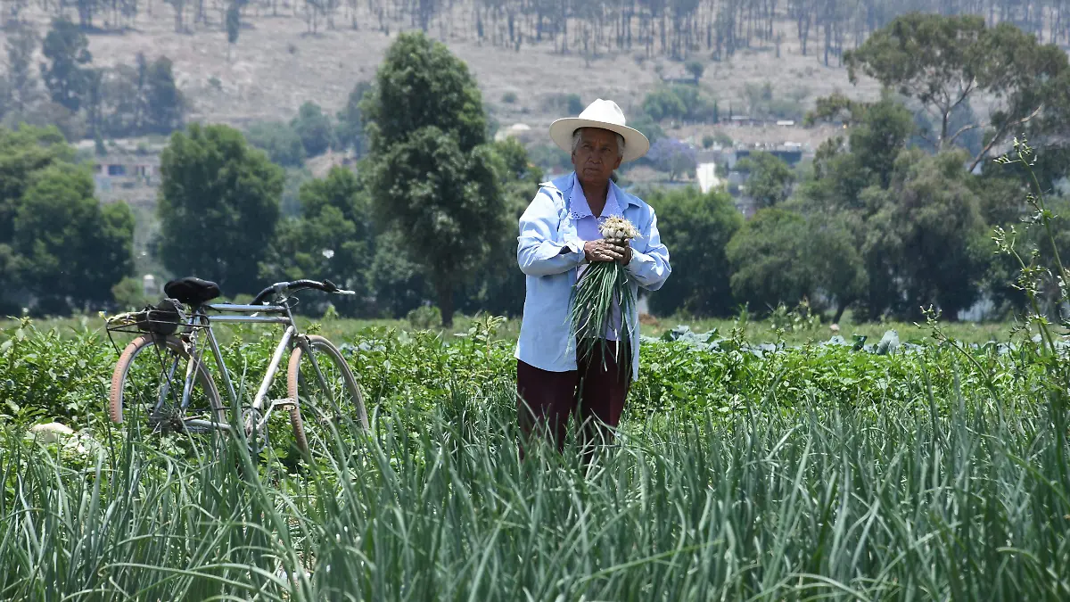 MUJERES CAMPO (2)