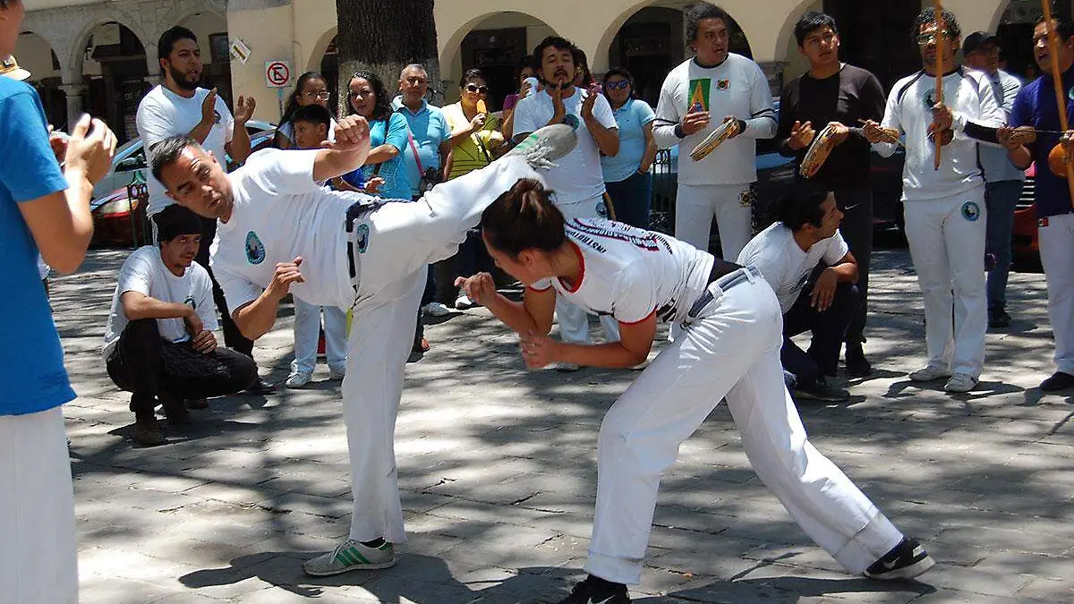Realizaron