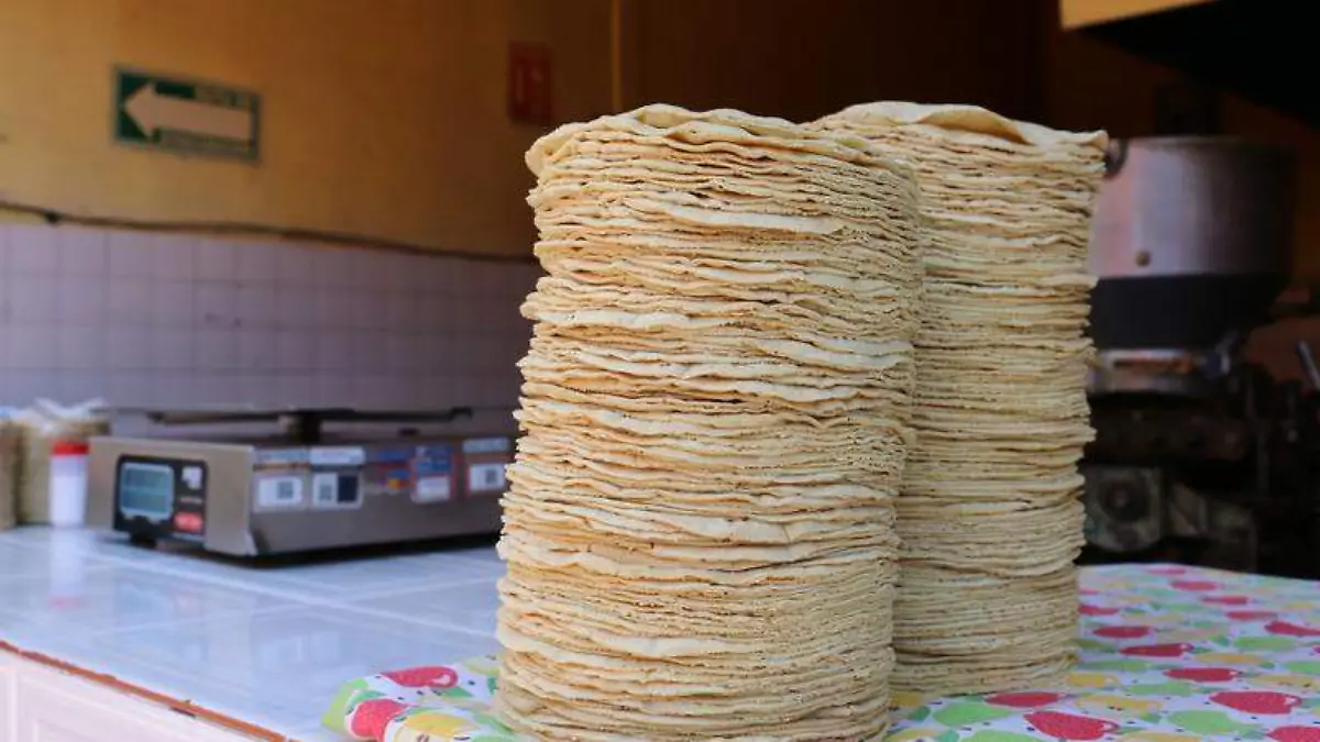 TORTILLAS 2