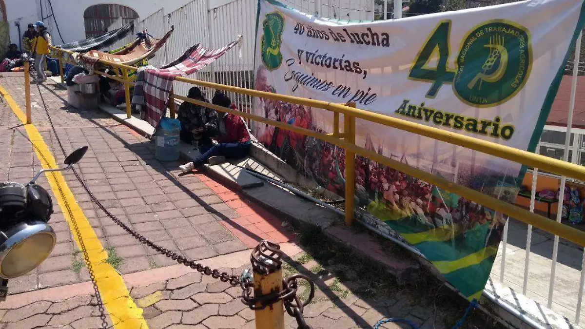 Campesinos (2)