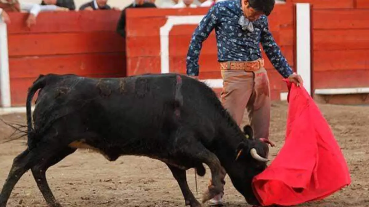 2-FERIA-2