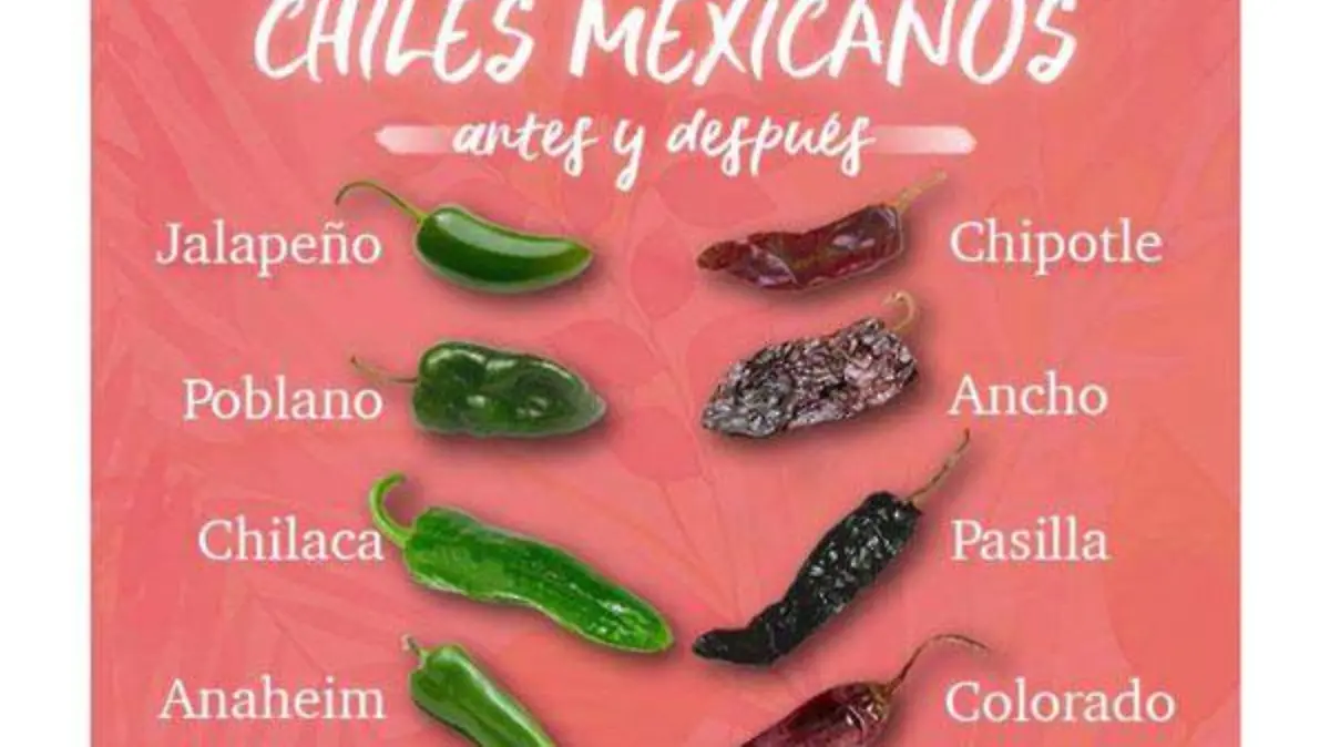 chile-1