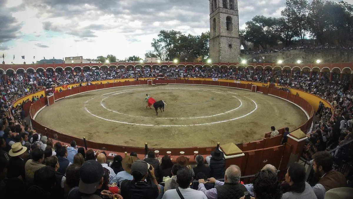 Festival Juego de Pelota (2)