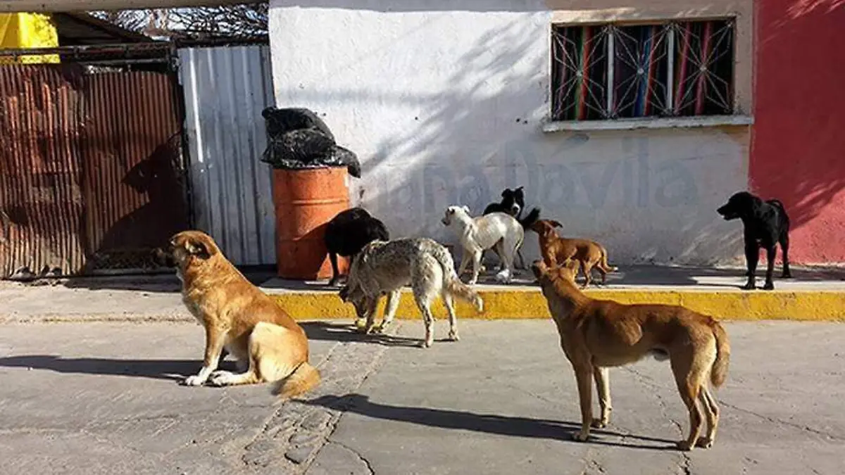 EN-EL-CARMEN