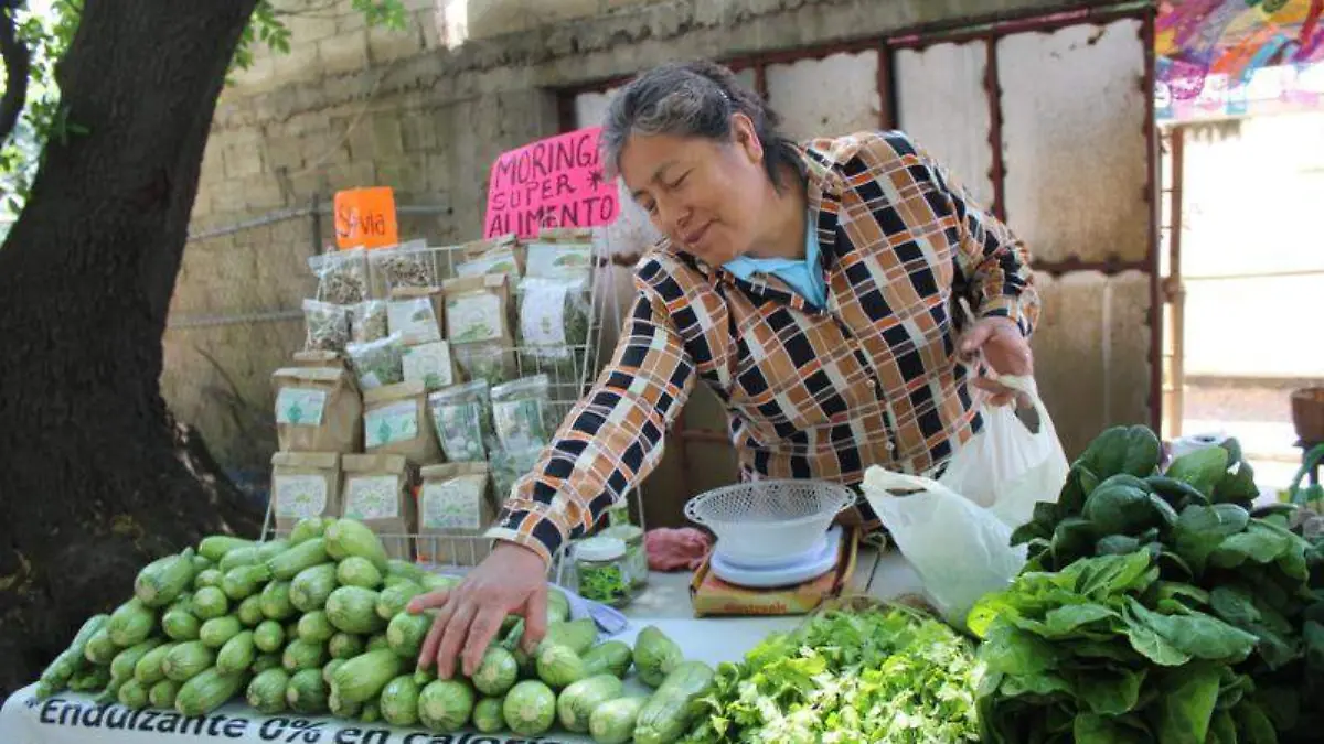 VERDURAS